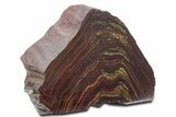 Tiger Iron Stromatolite Stand Up - Billion Years #354885-1